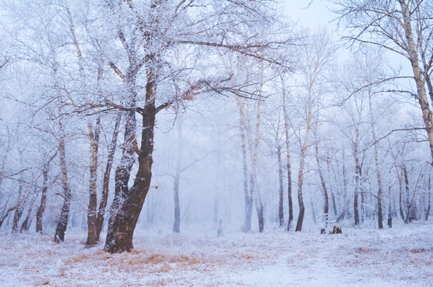 Winter Storm Warning Remains in Effect