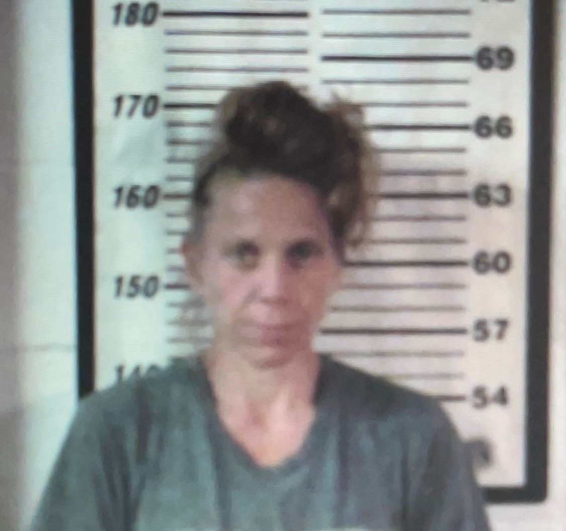 Ironton Woman Faces Several Charges