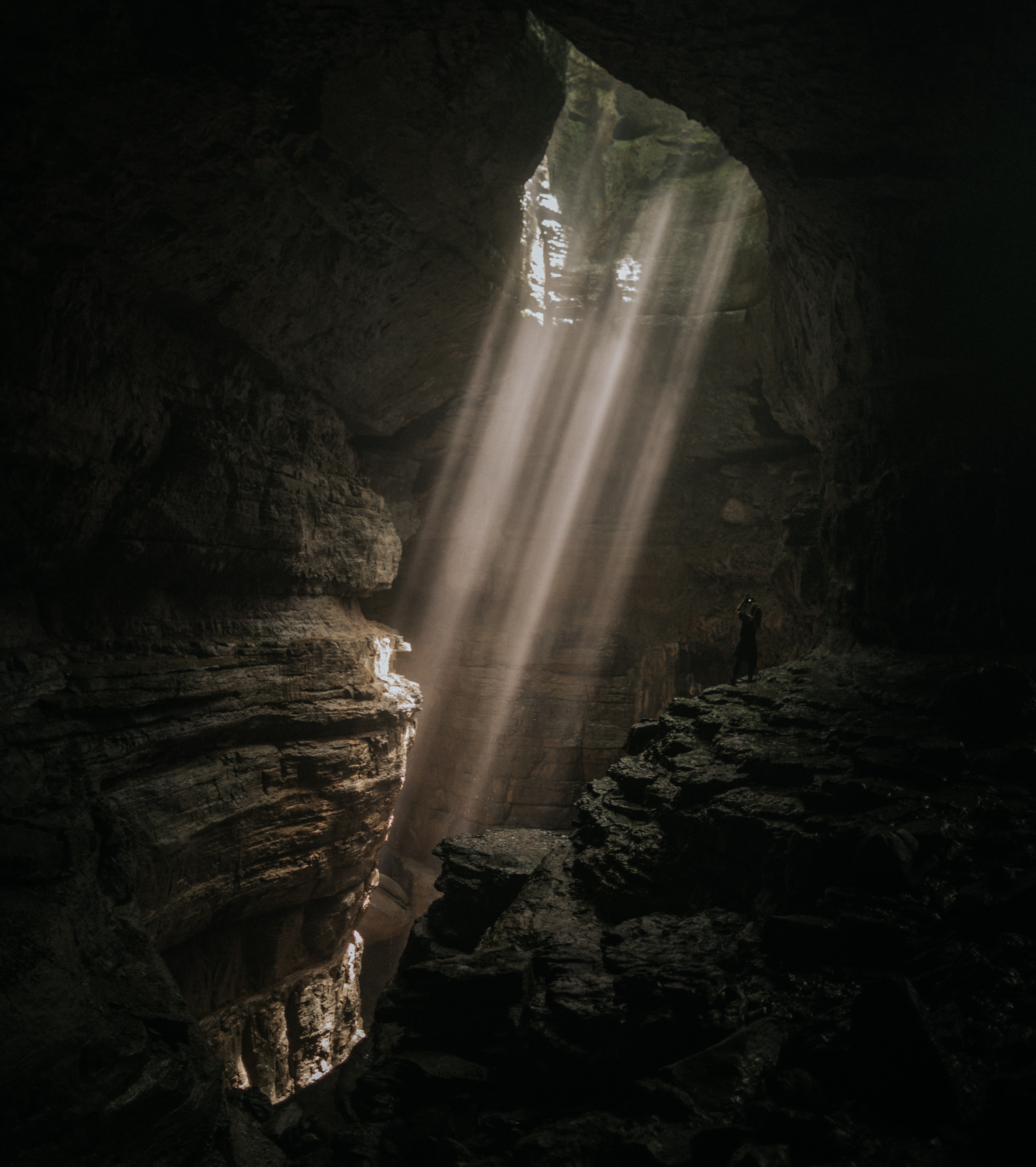 Dog Found in Perry County Cave