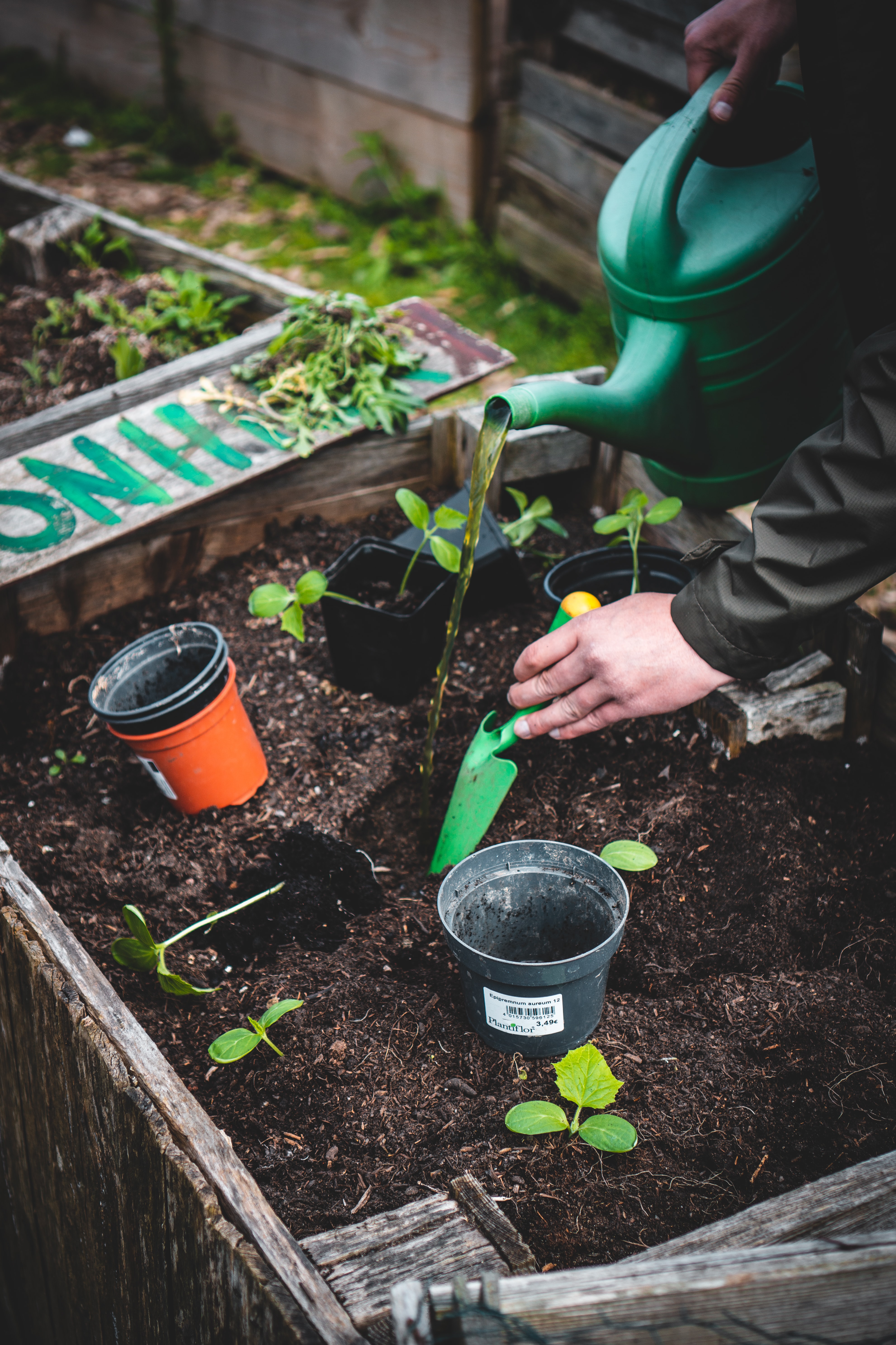 Programs on Crop Business Management