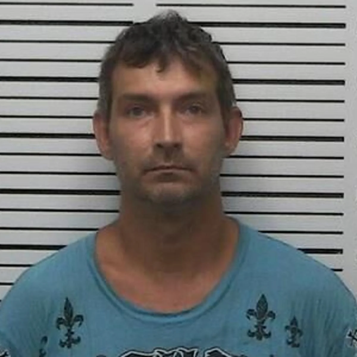 Leadwood Man Charged with Molestation