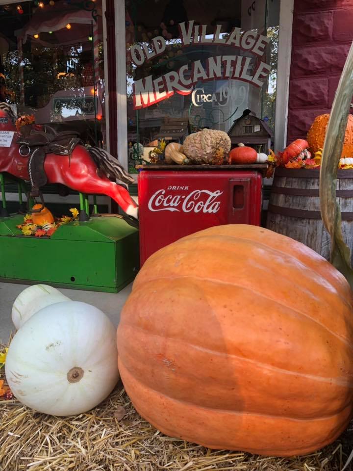 Caledonia's Pumpkin Festival