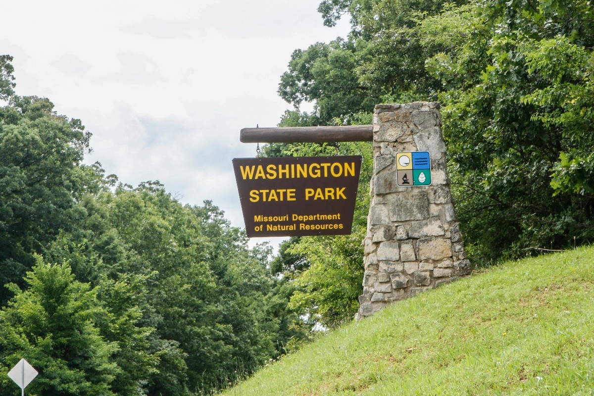 Meteor Shower Viewing at Washington Park