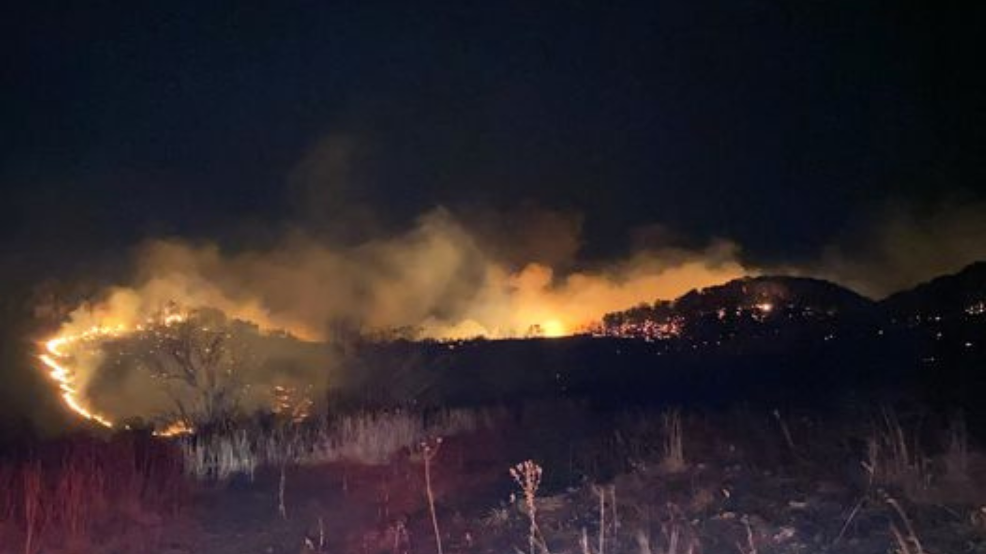 Mark Twain National Forest Firefighters Respond to Sugar Fire Near Glade Top Trail