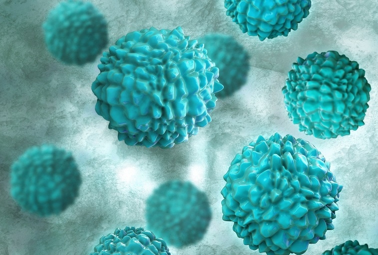 Norovirus Cases on the Rise in U.S.